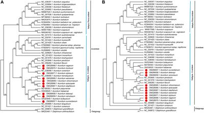 Comparative Analysis of the Chloroplast Genome for <mark class="highlighted">Aconitum</mark> Species: Genome Structure and Phylogenetic Relationships